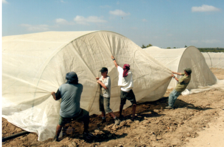 בניית חממה צילם שמעון ביטון